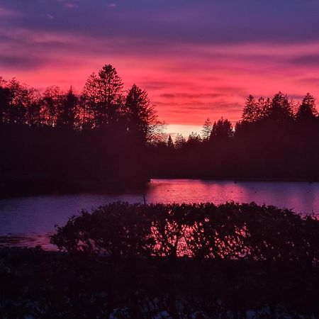 Hotel Waldsee リンデンベルク・イム・アルゴイ エクステリア 写真
