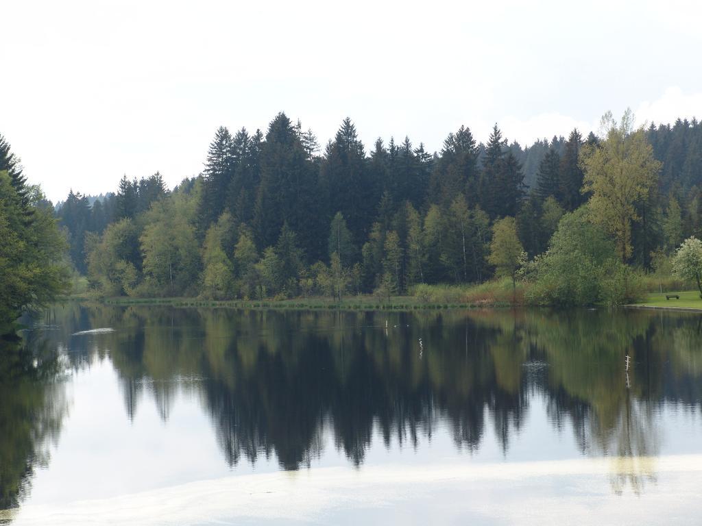 Hotel Waldsee リンデンベルク・イム・アルゴイ エクステリア 写真