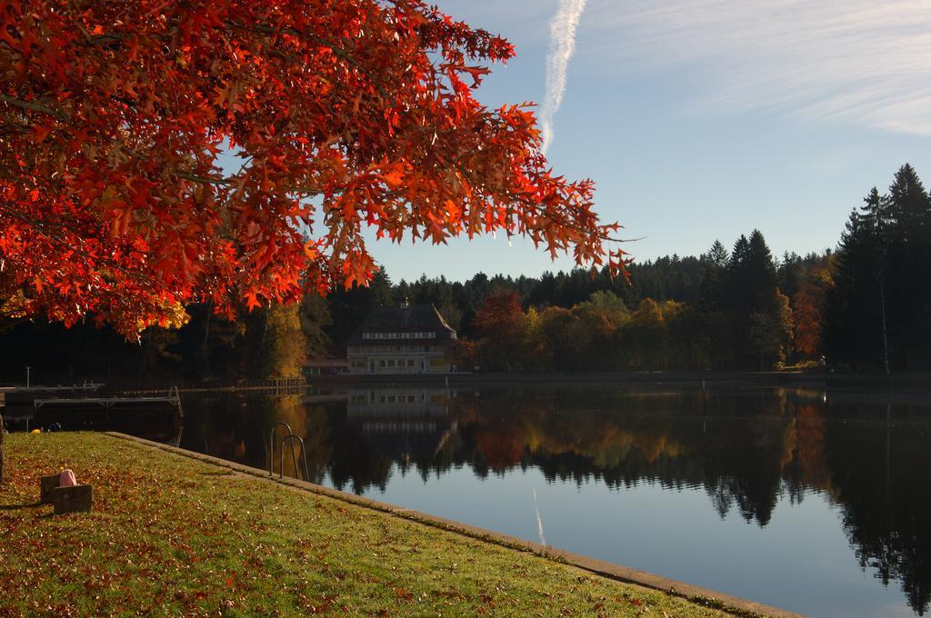 Hotel Waldsee リンデンベルク・イム・アルゴイ エクステリア 写真