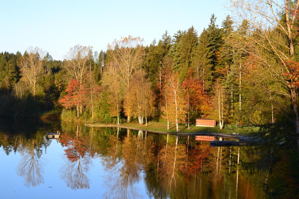 Hotel Waldsee リンデンベルク・イム・アルゴイ エクステリア 写真