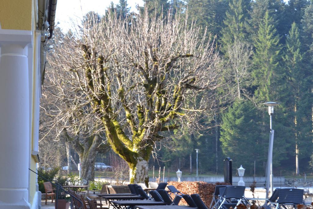 Hotel Waldsee リンデンベルク・イム・アルゴイ エクステリア 写真