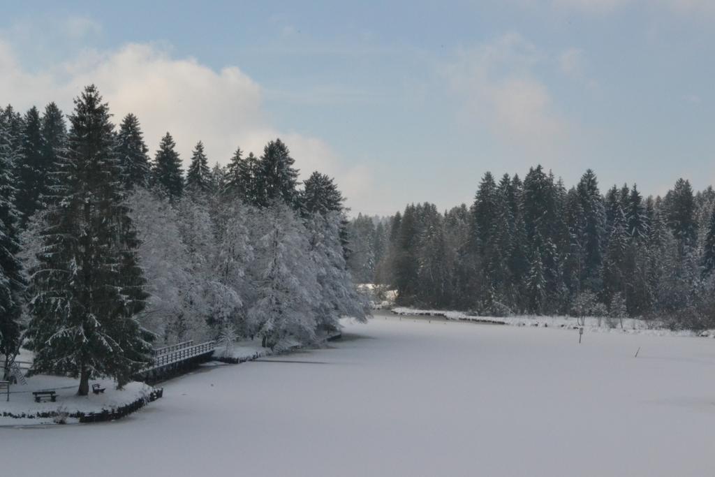 Hotel Waldsee リンデンベルク・イム・アルゴイ エクステリア 写真