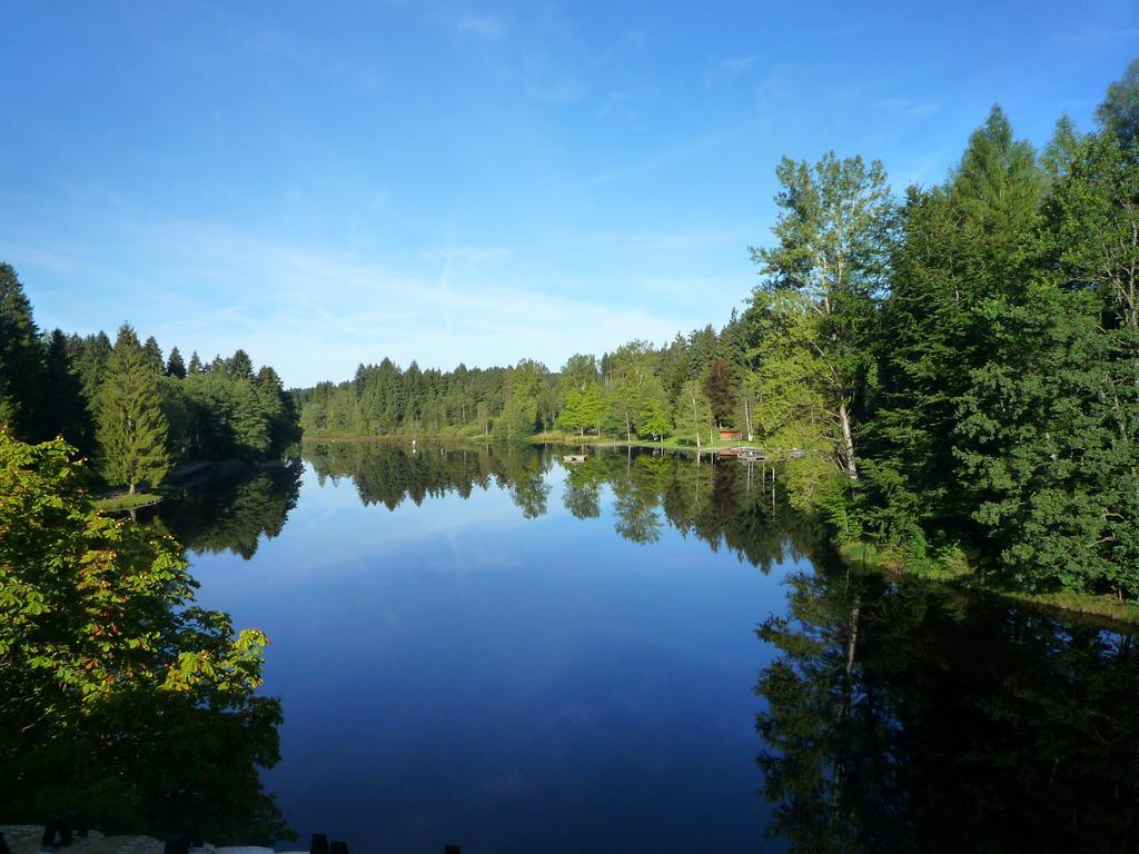 Hotel Waldsee リンデンベルク・イム・アルゴイ エクステリア 写真