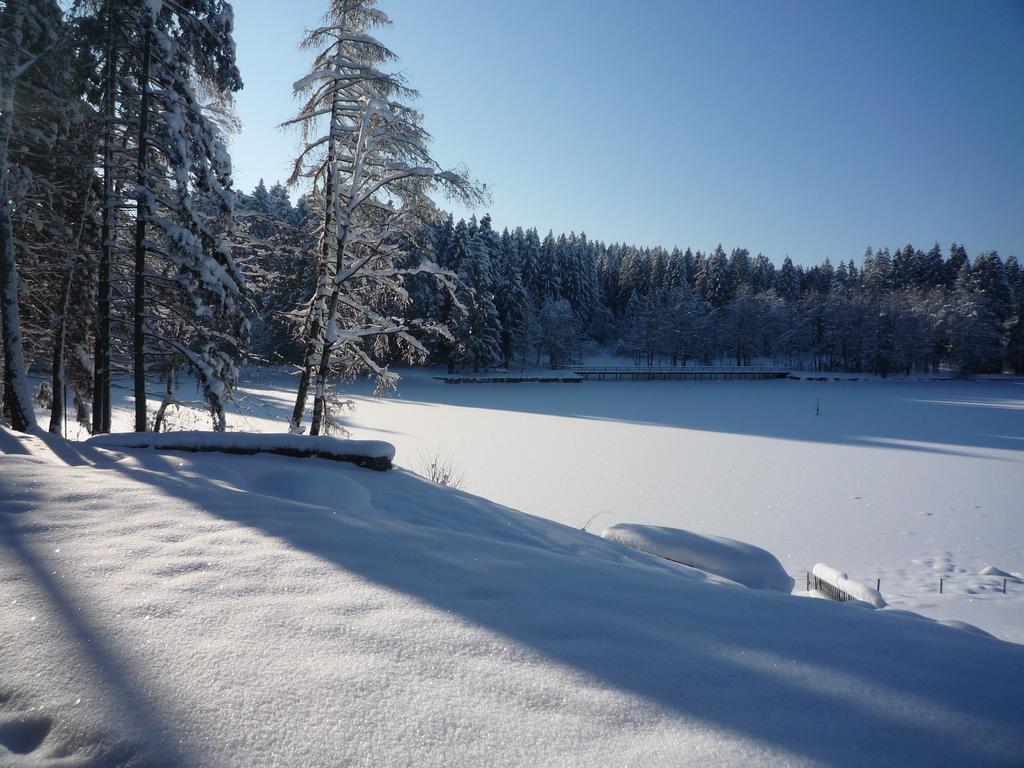 Hotel Waldsee リンデンベルク・イム・アルゴイ エクステリア 写真