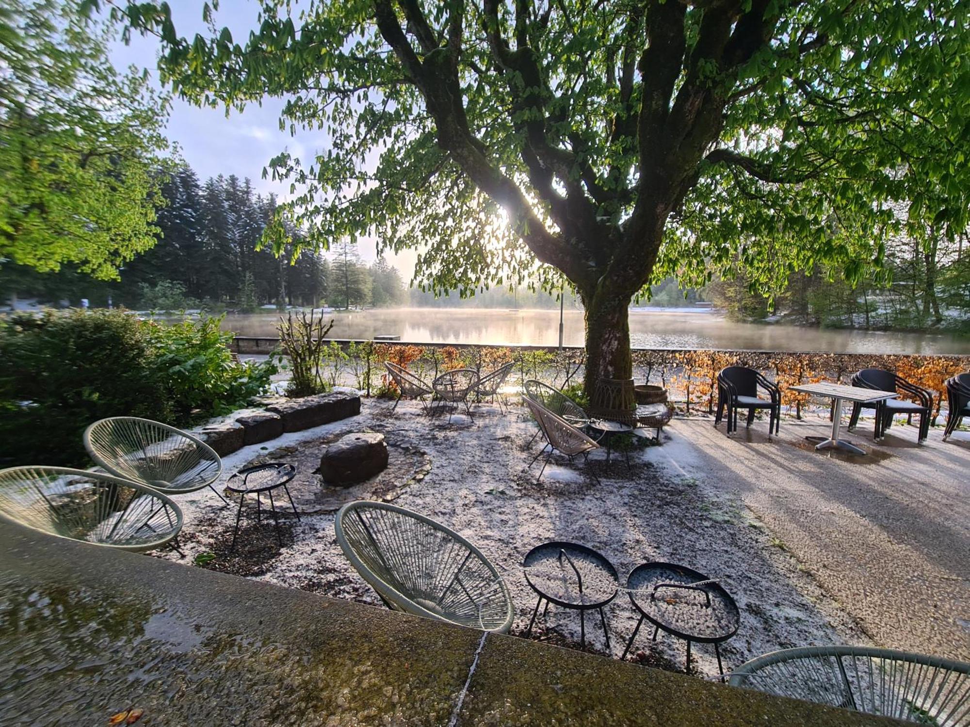 Hotel Waldsee リンデンベルク・イム・アルゴイ エクステリア 写真