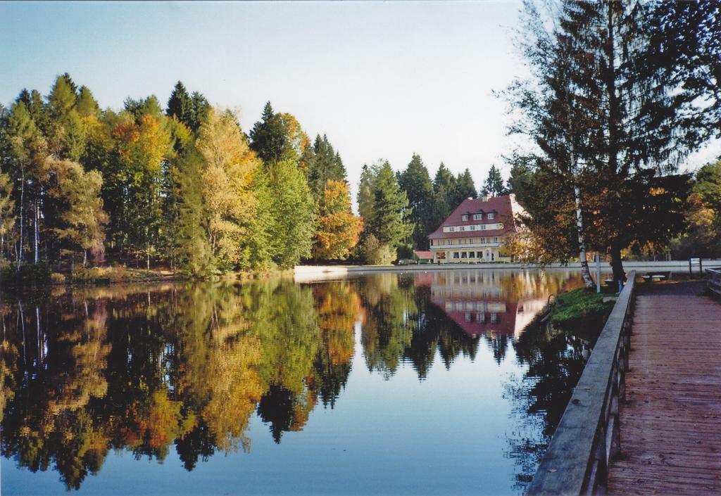 Hotel Waldsee リンデンベルク・イム・アルゴイ エクステリア 写真